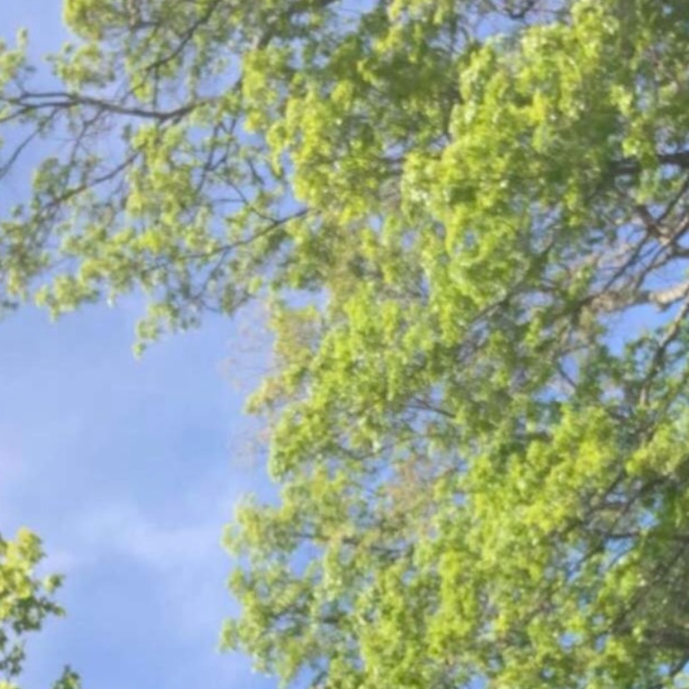 Meet your Posher, Bella